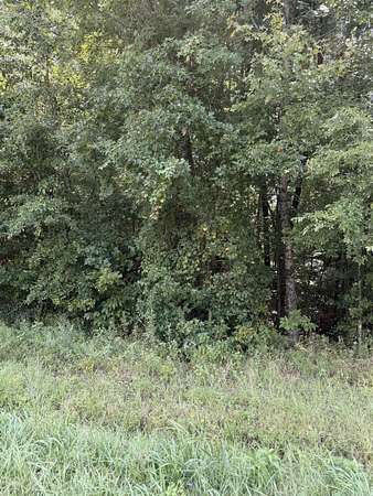 0.46 Acres of Land for Sale in Hensley, Arkansas