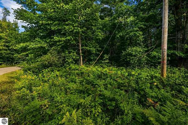 0.47 Acres of Land for Sale in Elmira, Michigan
