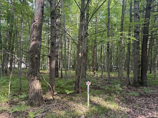 0.42 Acres of Land for Sale in Stanwood, Michigan
