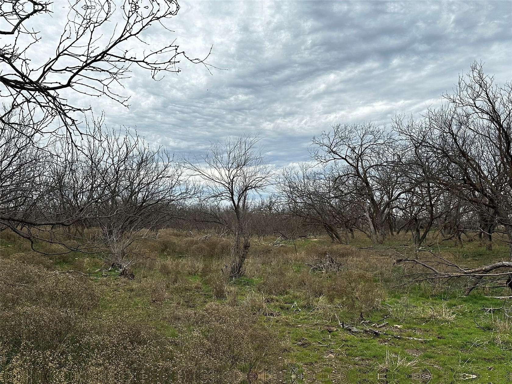 13 Acres of Land for Sale in Abilene, Texas