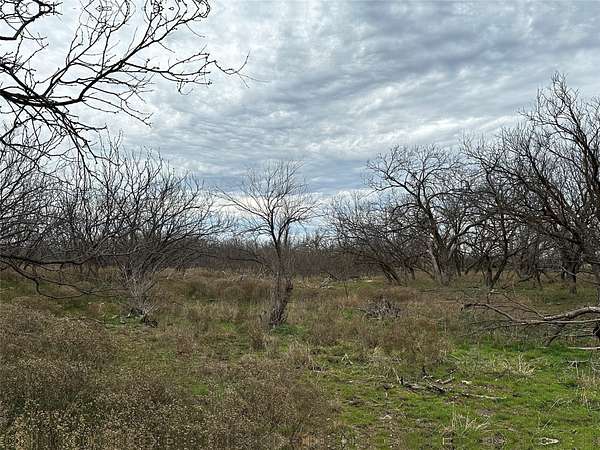 13 Acres of Land for Sale in Abilene, Texas