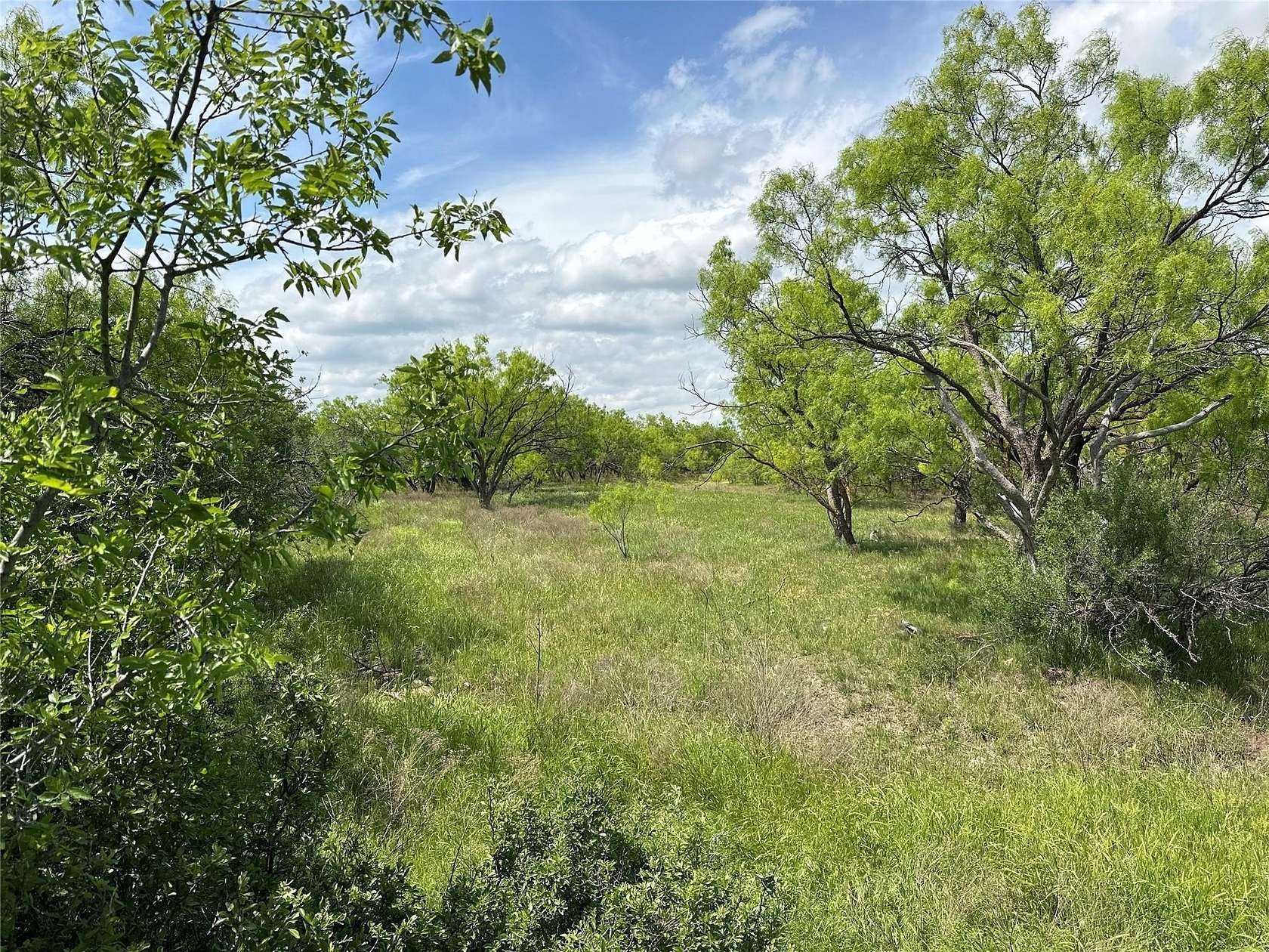 14 Acres of Land for Sale in Abilene, Texas