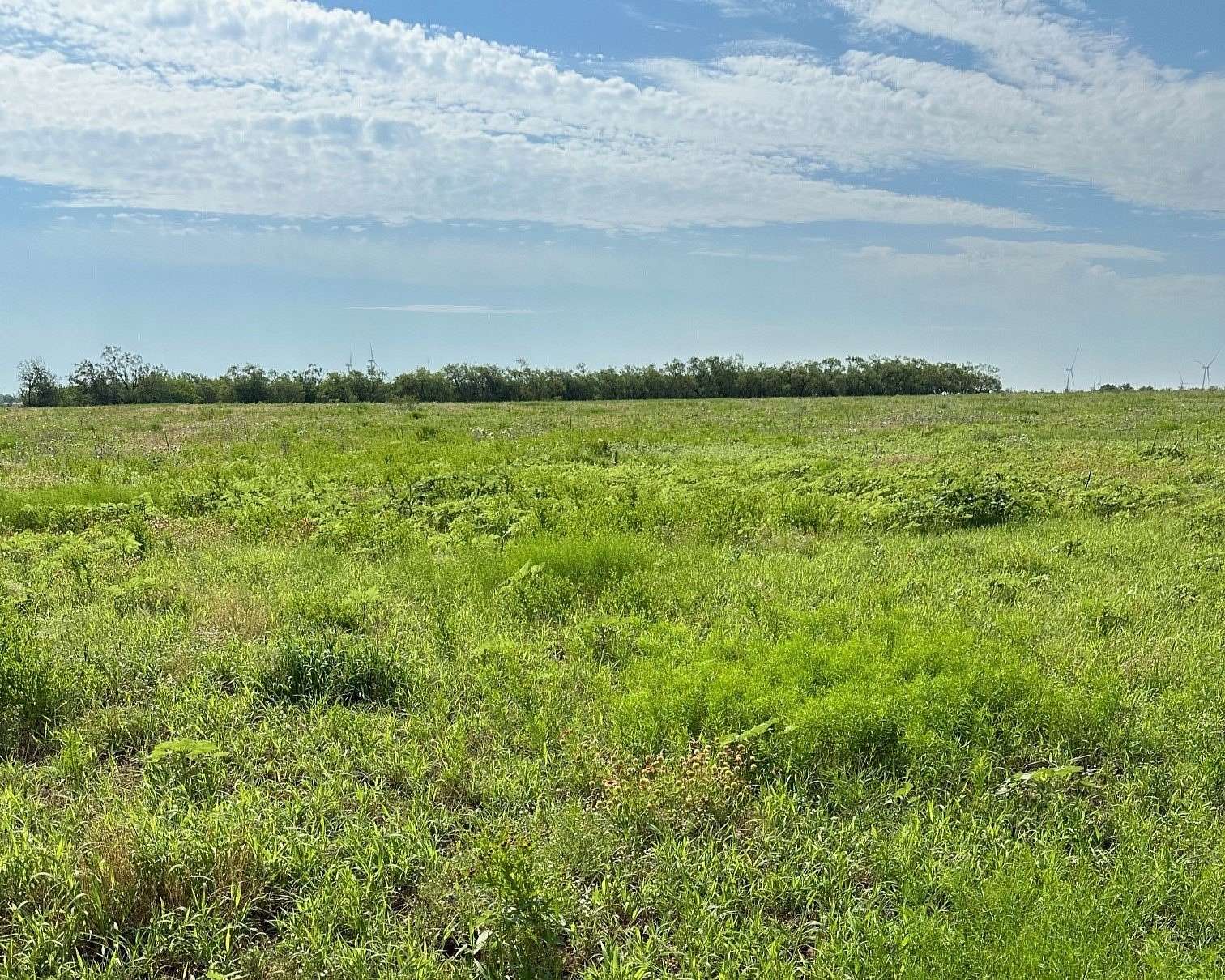 27 Acres of Land for Sale in Abilene, Texas