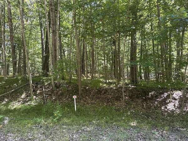 0.44 Acres of Residential Land for Sale in Stanwood, Michigan