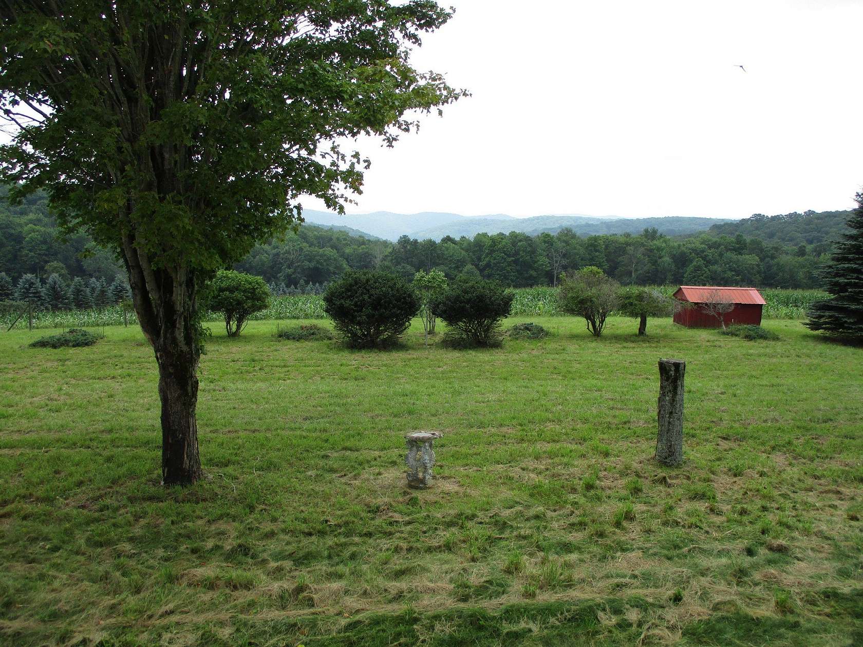 196 Acres of Land with Home for Sale in Shinglehouse, Pennsylvania