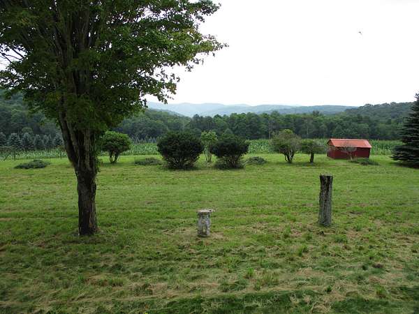 196 Acres of Land with Home for Sale in Shinglehouse, Pennsylvania