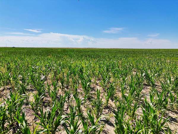 160 Acres of Land for Sale in Walsh, Colorado