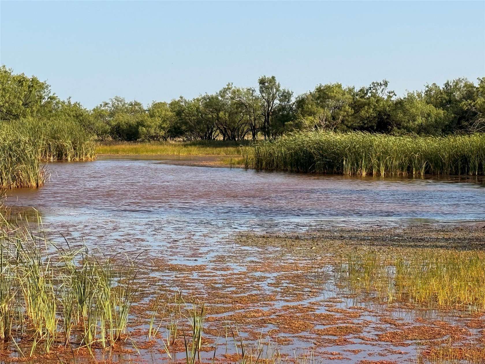 105 Acres of Land for Sale in Ovalo, Texas