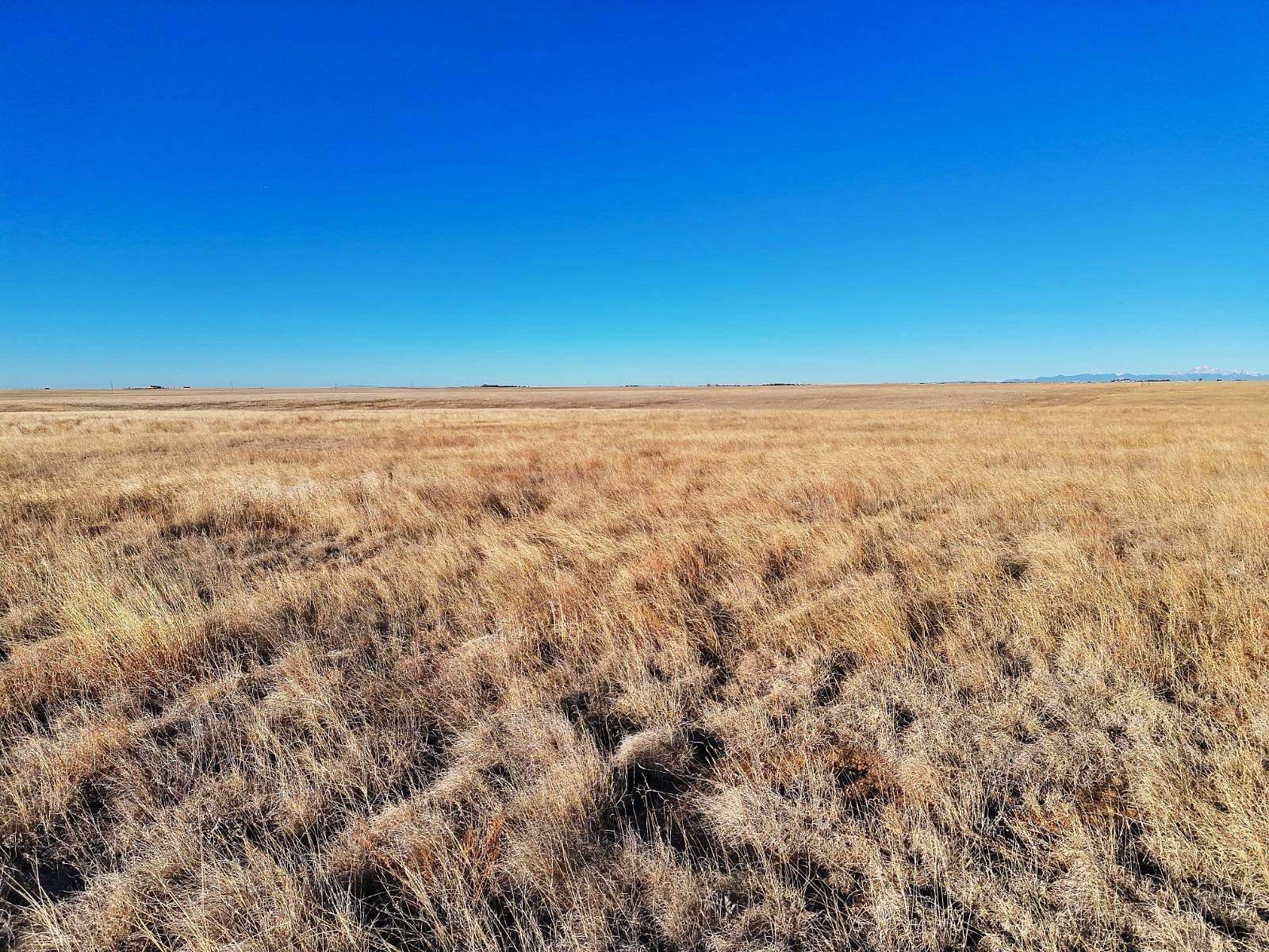 40 Acres of Land for Sale in Rush, Colorado