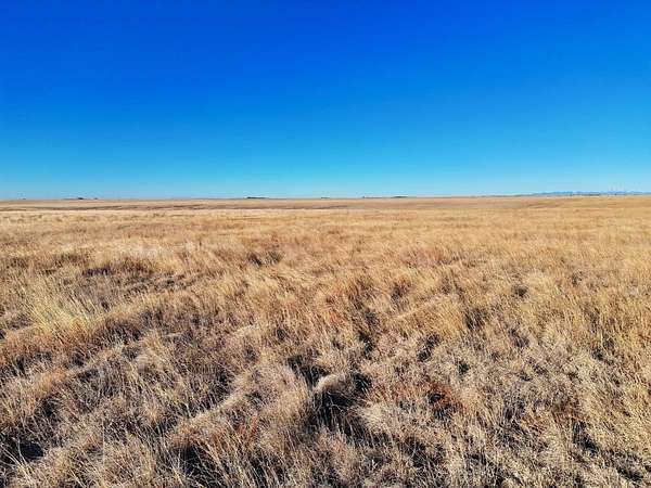 40 Acres of Land for Sale in Rush, Colorado