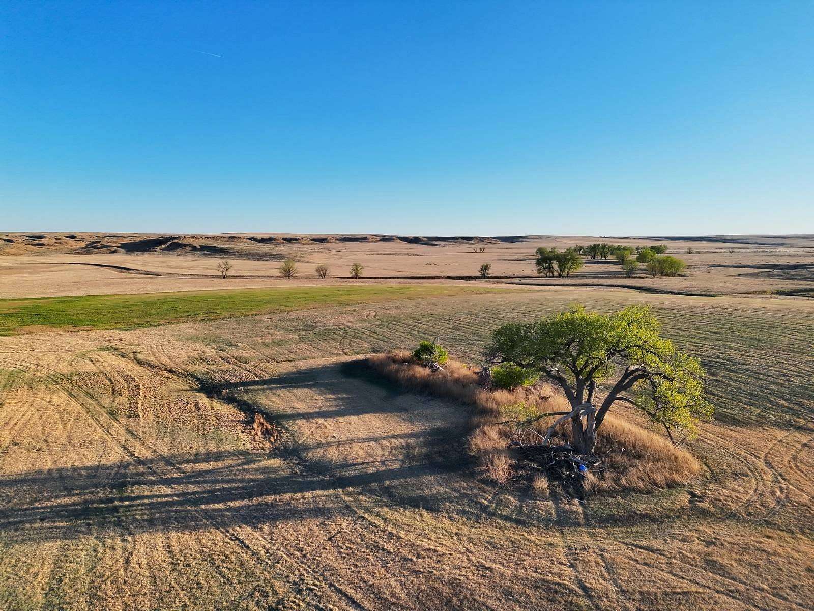 320 Acres of Land for Sale in Sharon Springs, Kansas