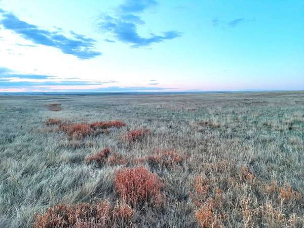39 Acres of Land for Sale in Deer Trail, Colorado