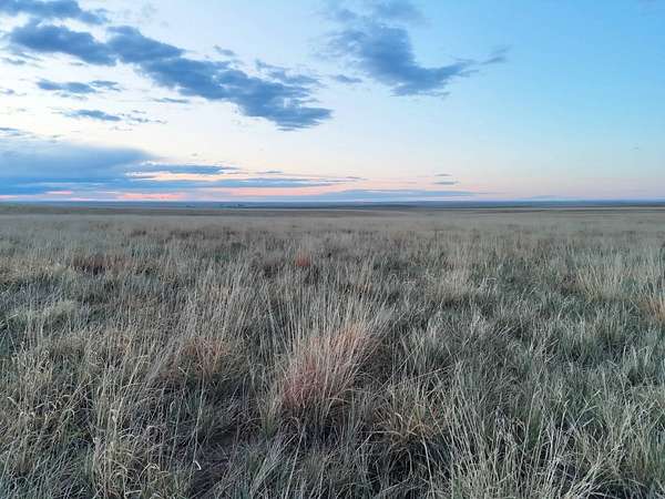78 Acres of Land for Sale in Deer Trail, Colorado