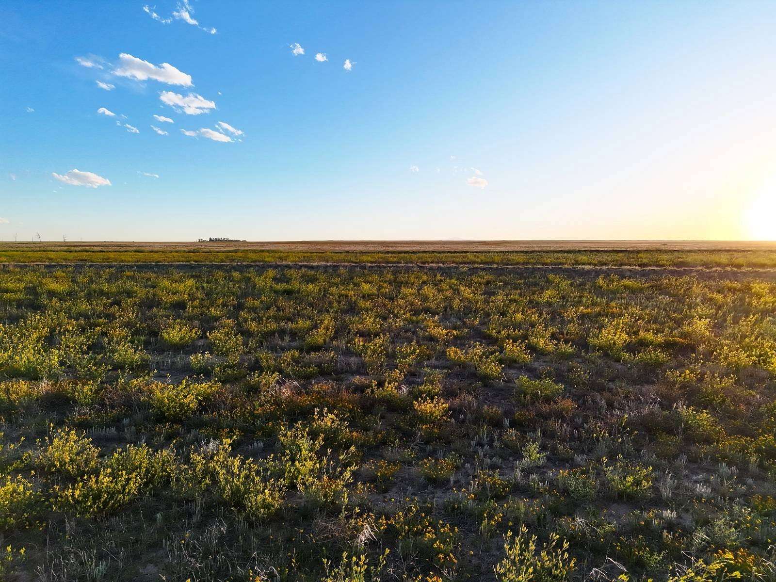35.8 Acres of Recreational & Residential Land for Sale in Rush, Colorado
