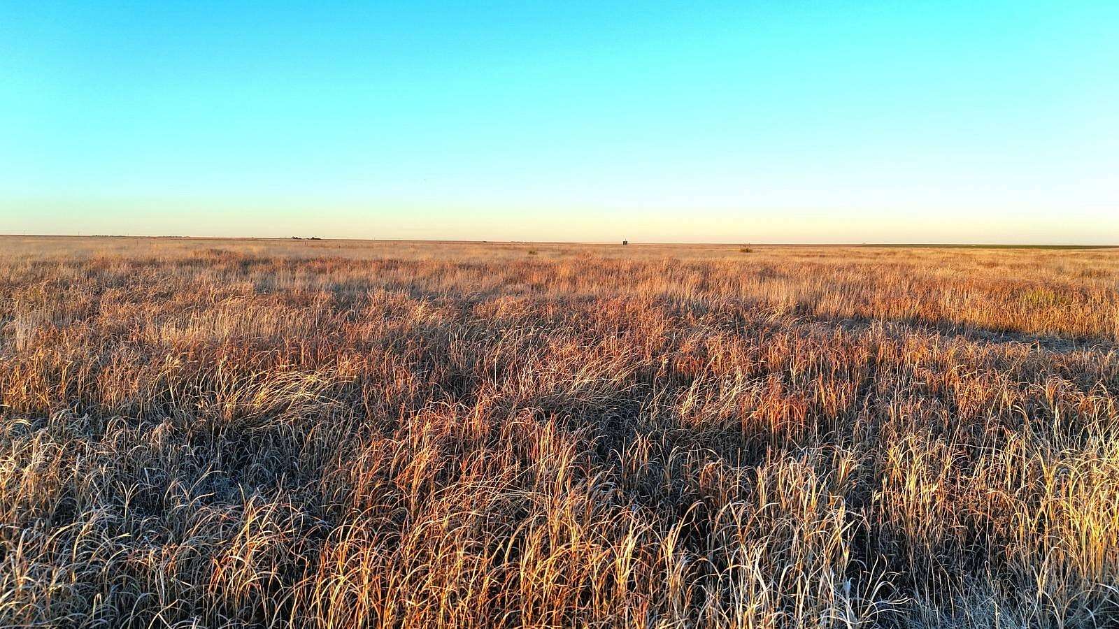 320 Acres of Land for Sale in Holly, Colorado