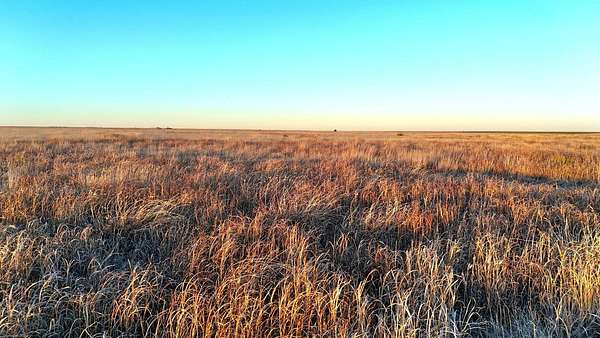 320 Acres of Land for Sale in Holly, Colorado