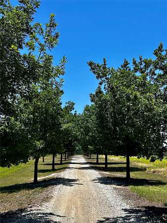 66.7 Acres of Land with Home for Sale in Cross Plains, Texas