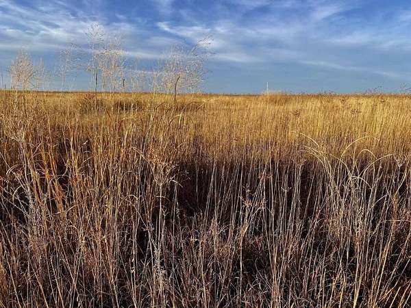 640 Acres of Land for Sale in Eads, Colorado