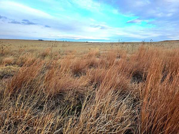 20 Acres of Recreational Land for Sale in Bushnell, Nebraska