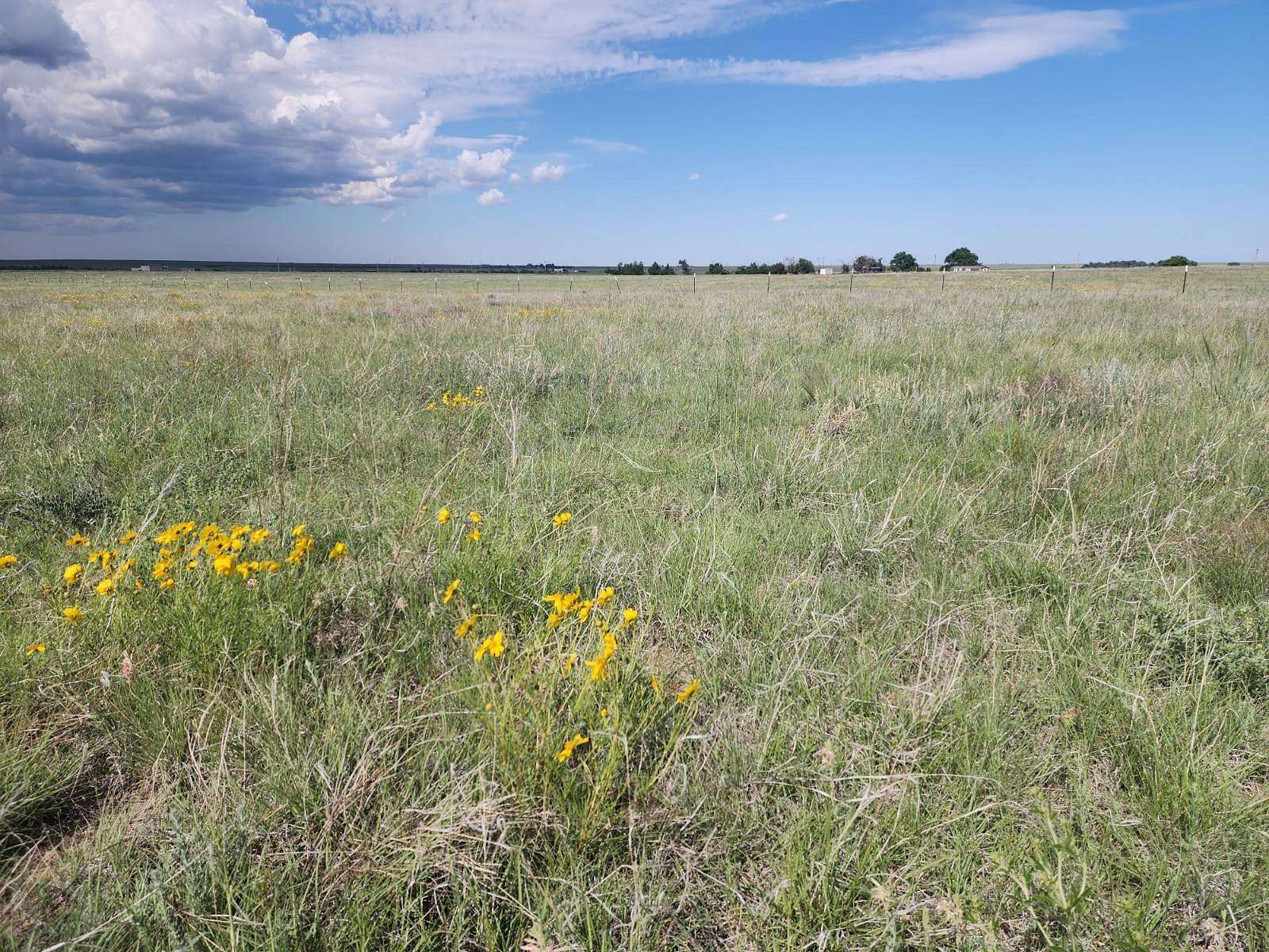 35.1 Acres of Recreational & Residential Land for Sale in Rush, Colorado