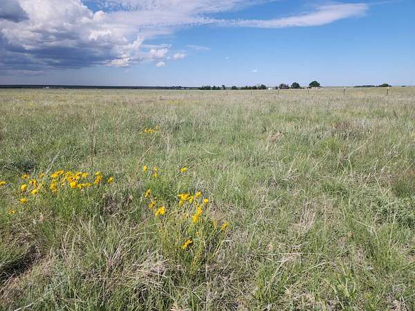 35.1 Acres of Recreational & Residential Land for Sale in Rush, Colorado