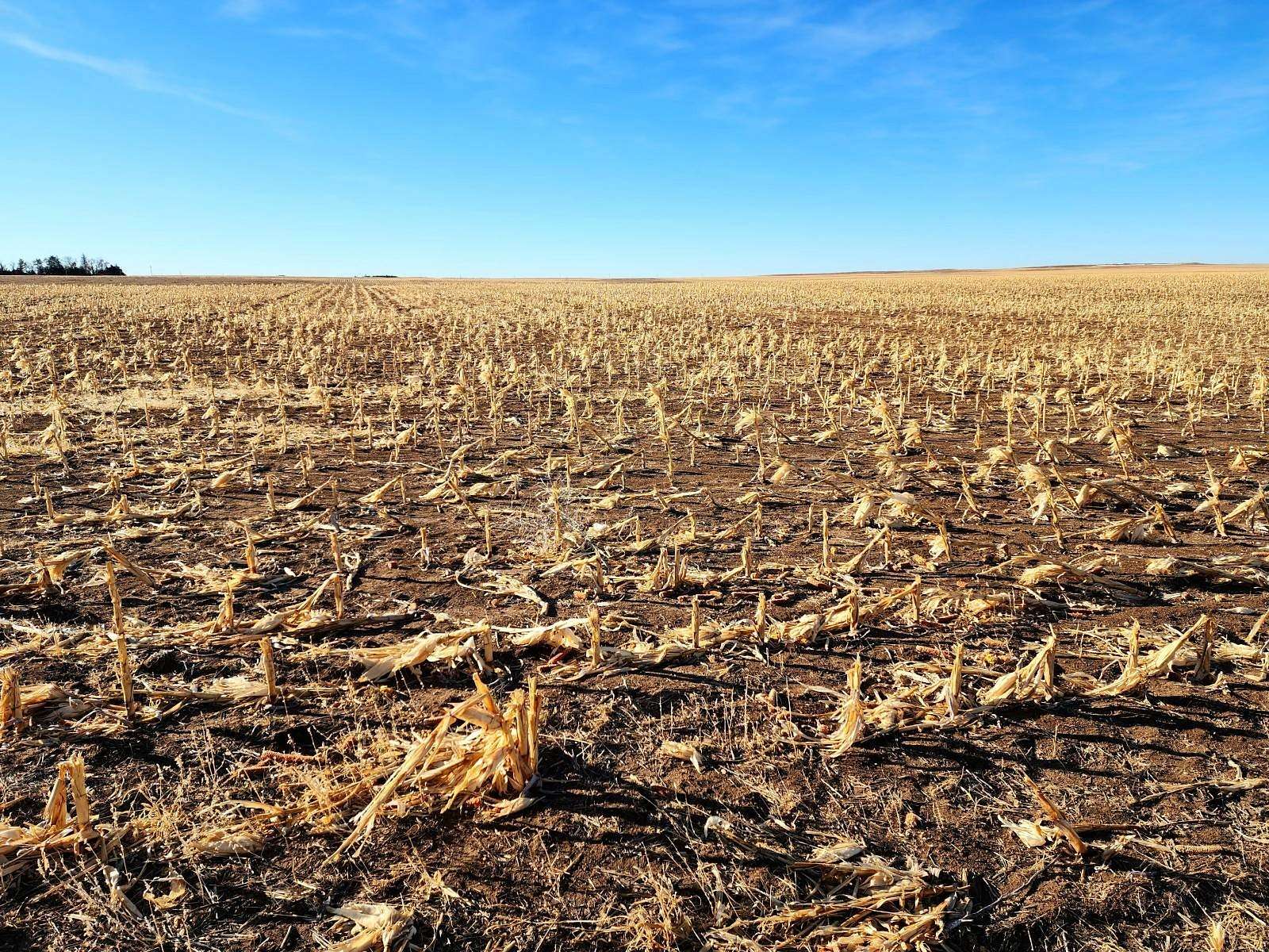 167 Acres of Land for Sale in Bushnell, Nebraska