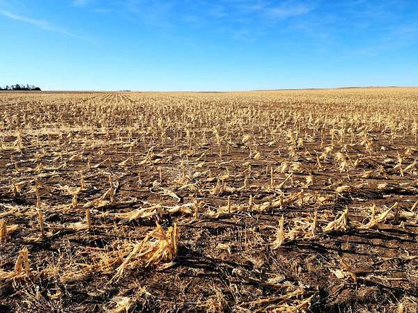 167 Acres of Land for Sale in Bushnell, Nebraska