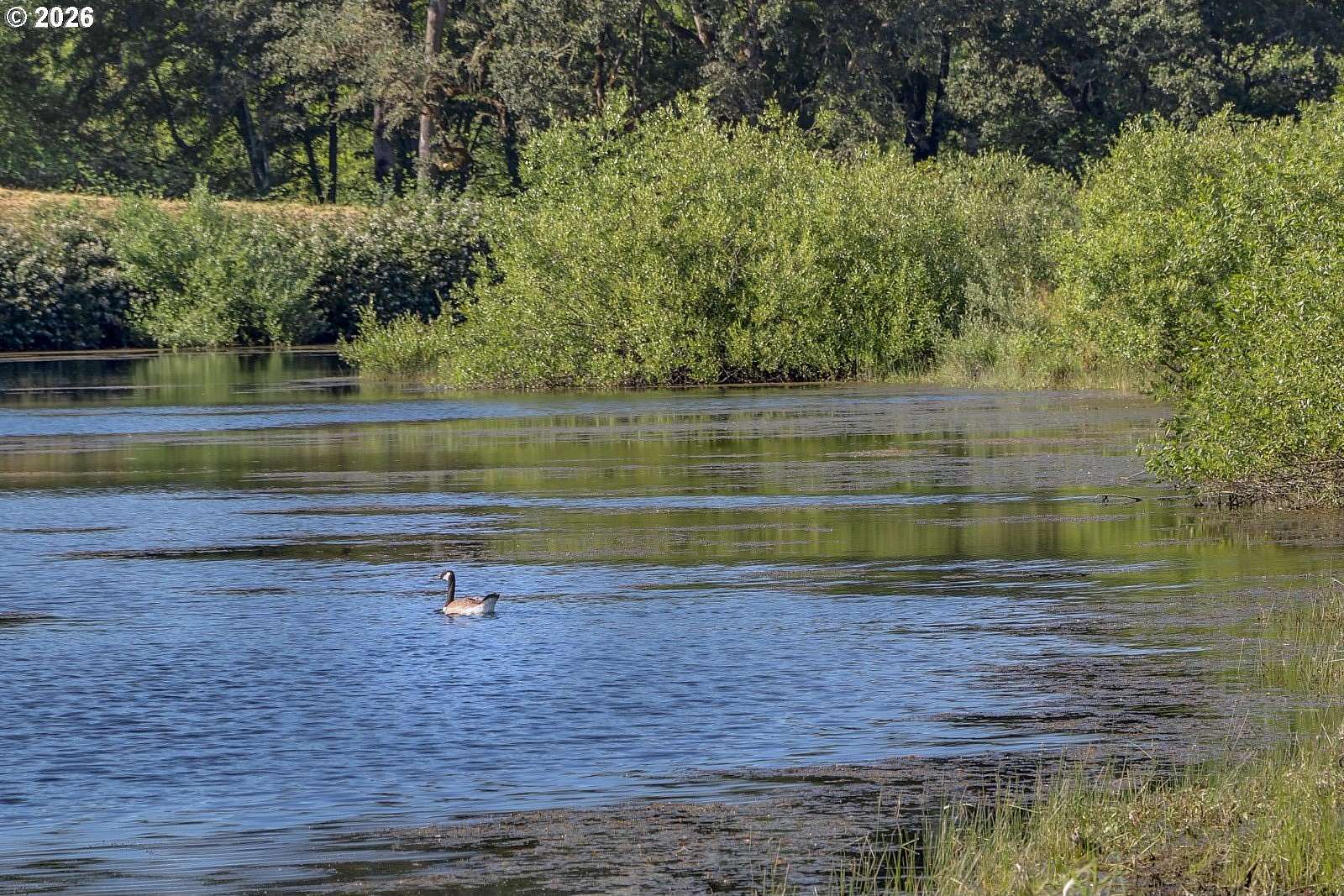 31.7 Acres of Agricultural Land for Sale in Walker, Oregon