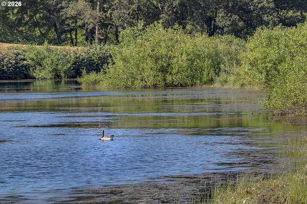 31.7 Acres of Agricultural Land for Sale in Walker, Oregon