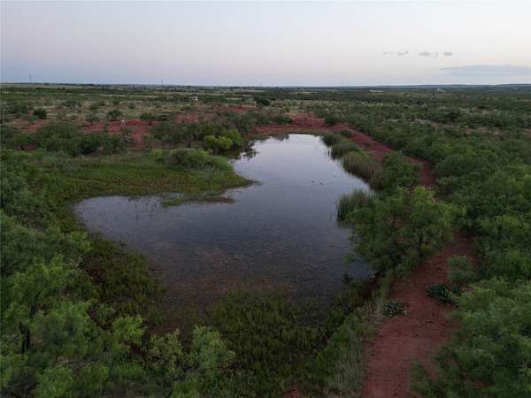 202 Acres of Land for Sale in Ovalo, Texas