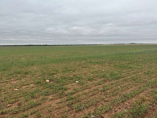 14 Acres of Recreational & Residential Land for Sale in Merkel, Texas