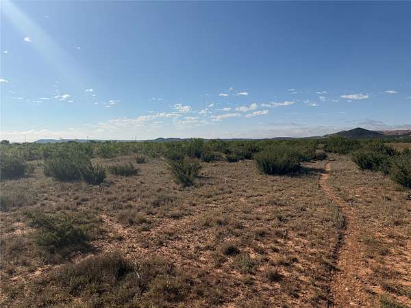 58 Acres of Land for Sale in Merkel, Texas