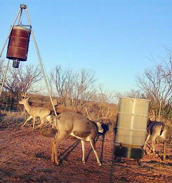 64.5 Acres of Land for Sale in Merkel, Texas