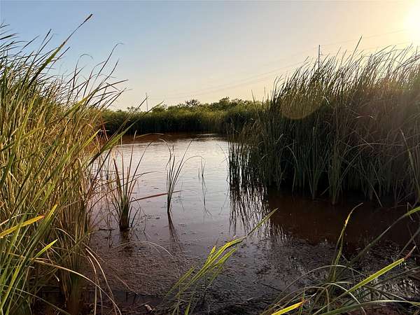 33 Acres of Land for Sale in Ovalo, Texas