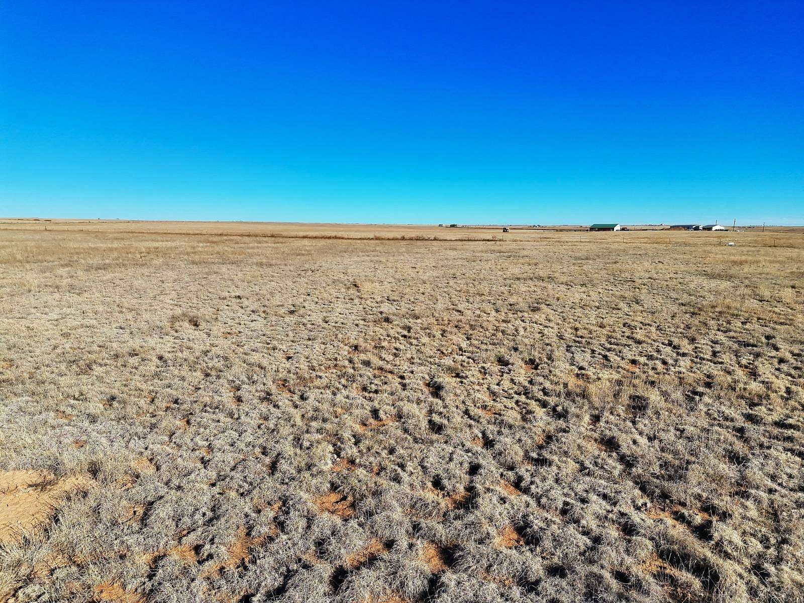 41.8 Acres of Land for Sale in Rush, Colorado