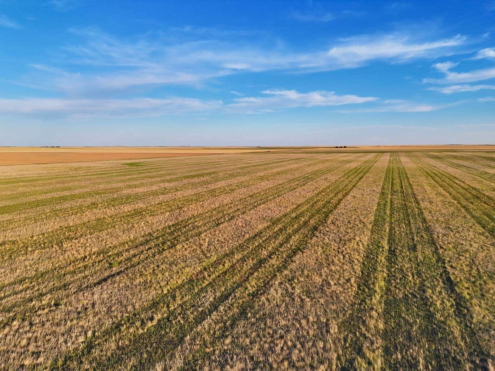 160 Acres of Land for Sale in Otis, Colorado