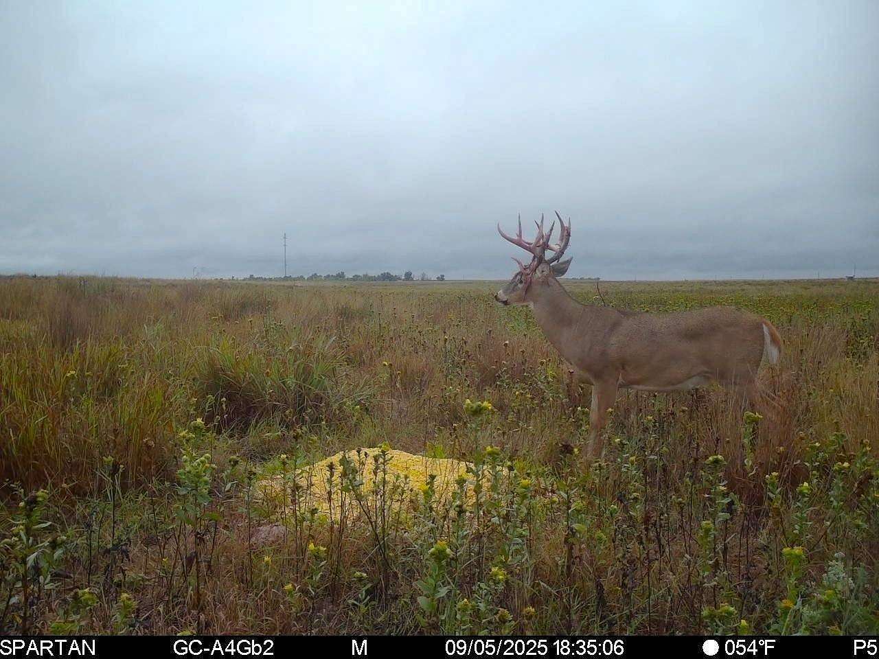 78 Acres of Recreational Land for Sale in Hugoton, Kansas