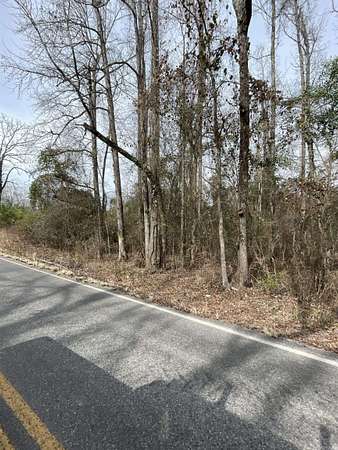 20 Acres of Recreational & Residential Land for Sale in Pine Bluff, Arkansas