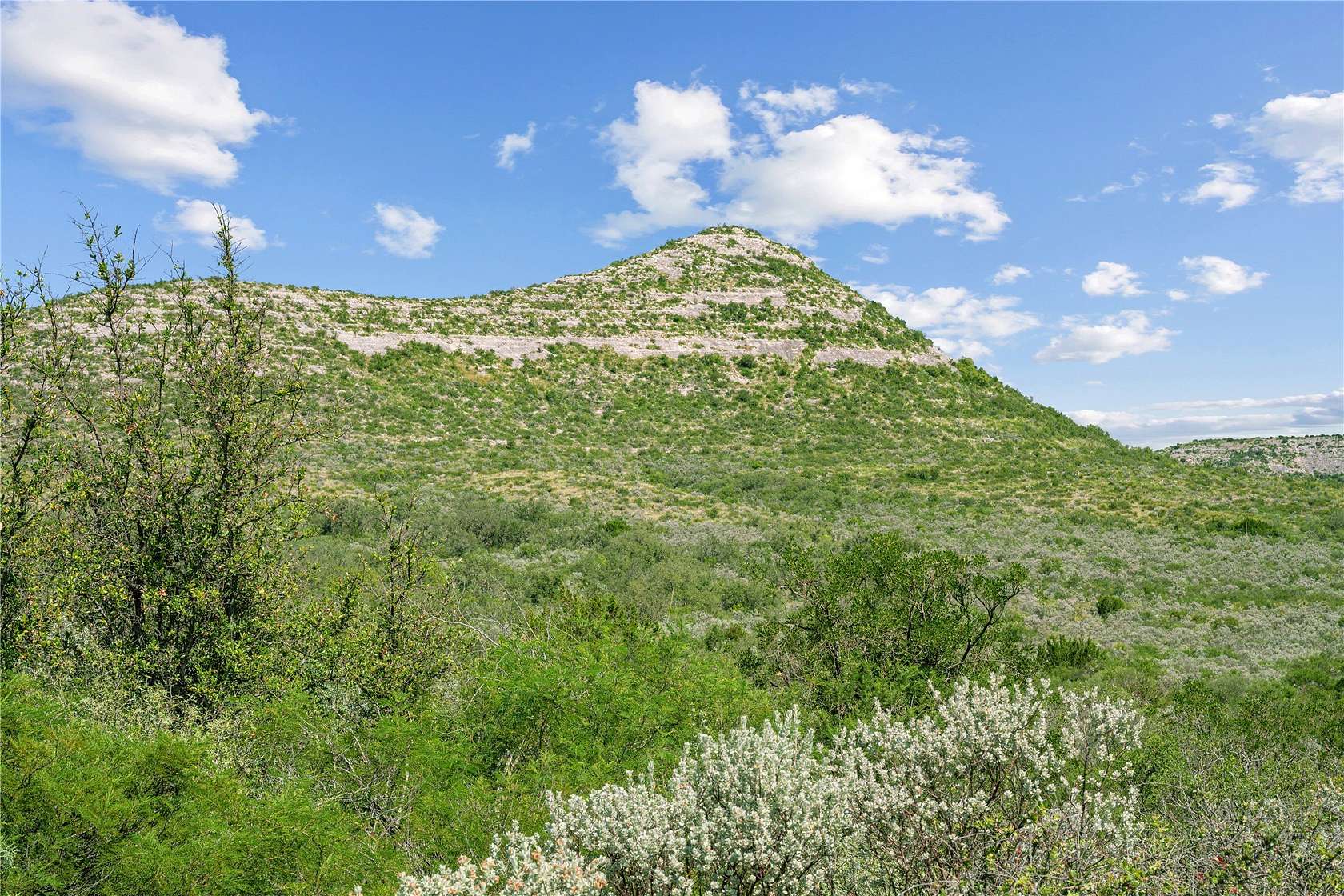 7,532 Acres of Land for Sale in Uvalde, Texas