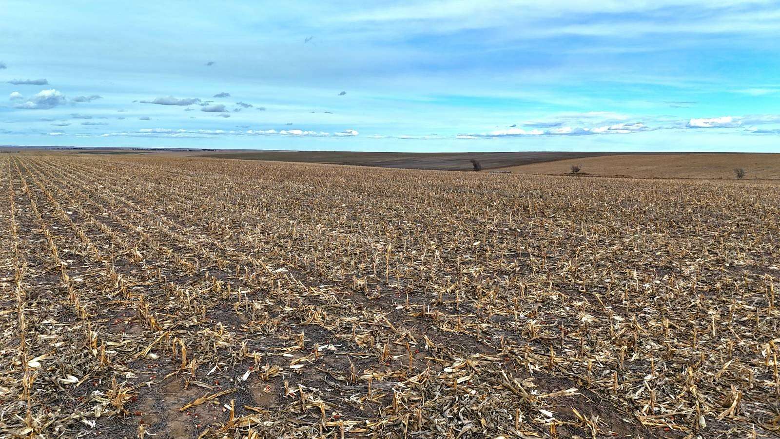 291 Acres of Land for Sale in Burlington, Colorado