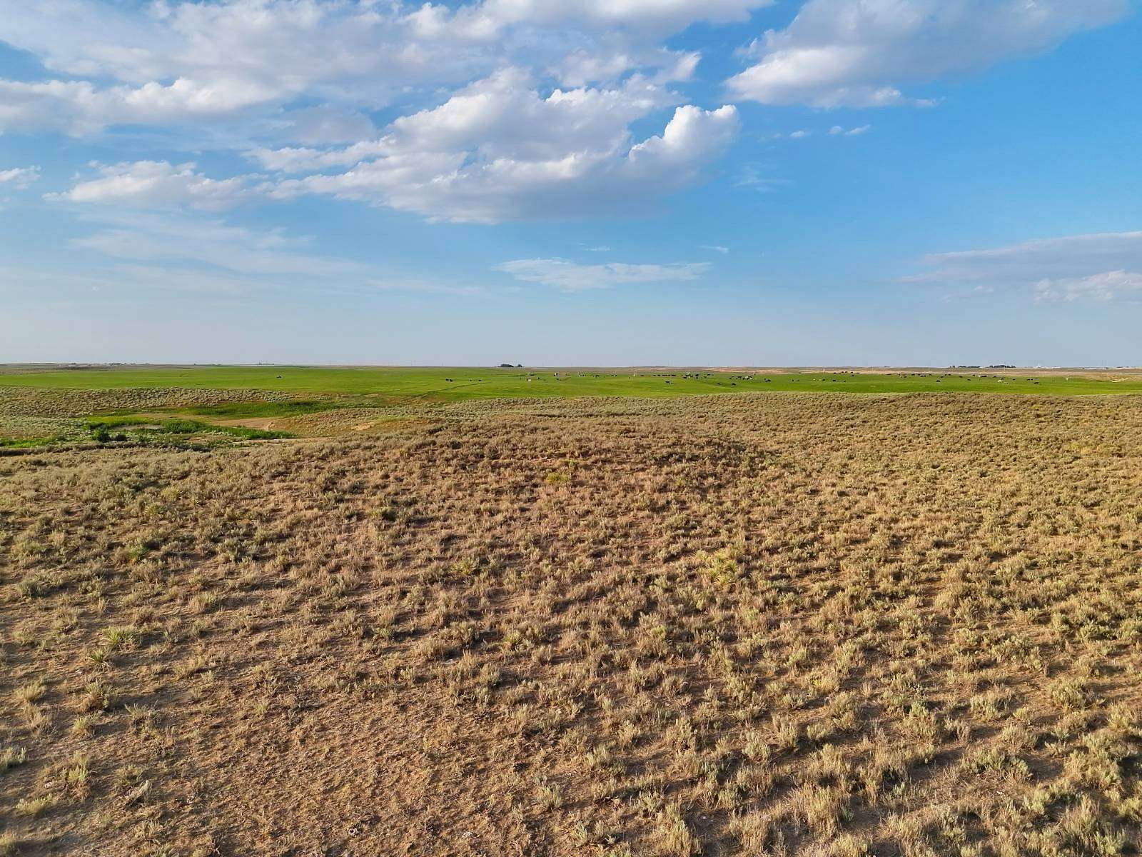 155 Acres of Recreational Land for Sale in Hugoton, Kansas