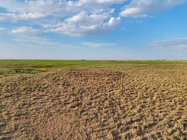 155 Acres of Recreational Land for Sale in Hugoton, Kansas