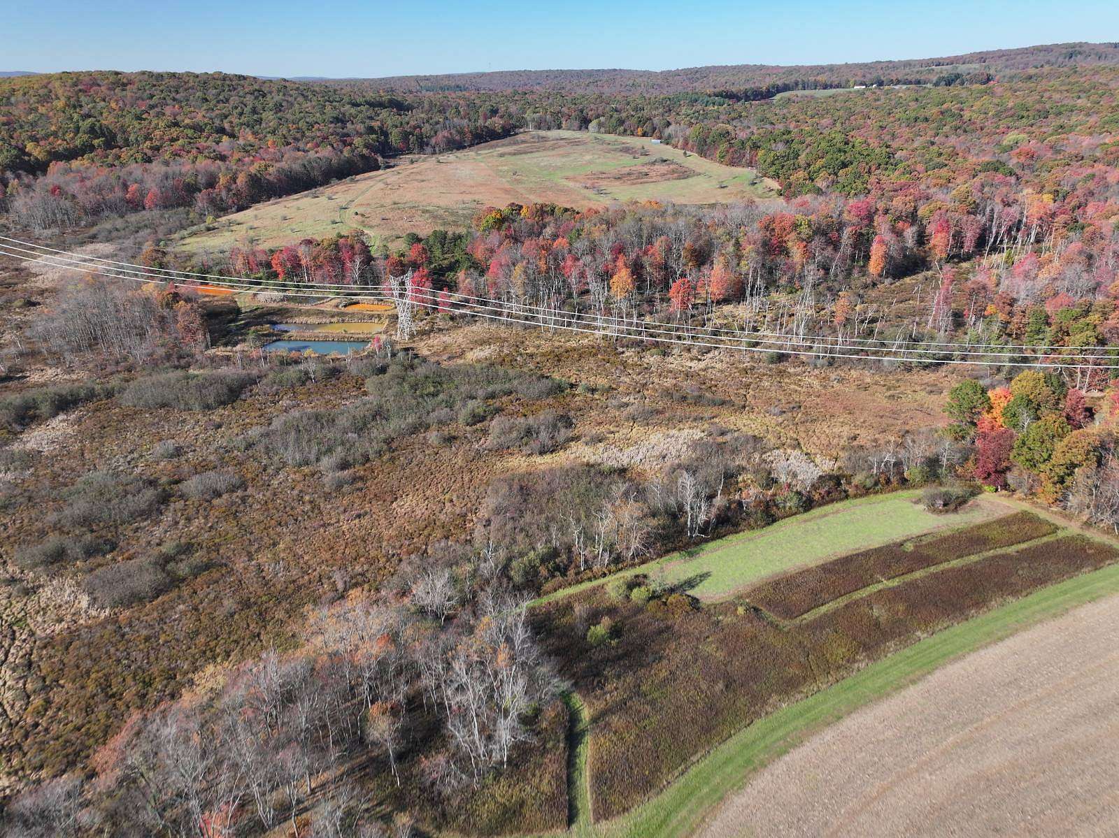 77 Acres of Recreational Land for Sale in Markleysburg, Pennsylvania