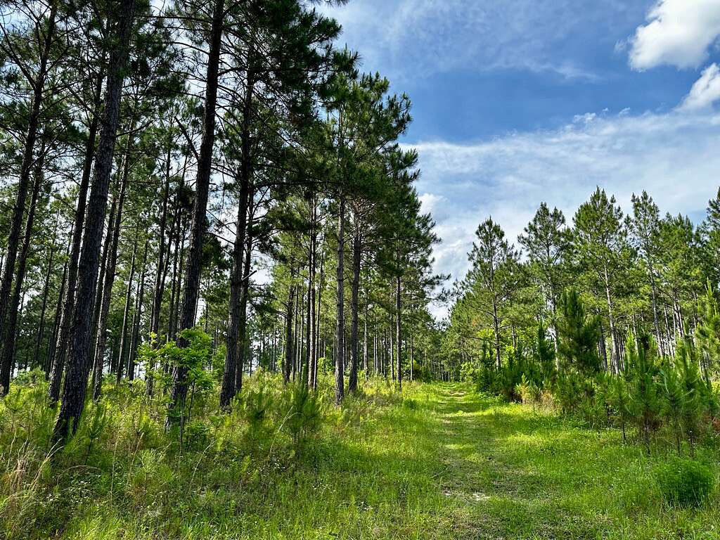 71.3 Acres of Recreational & Residential Land for Sale in McRae, Georgia