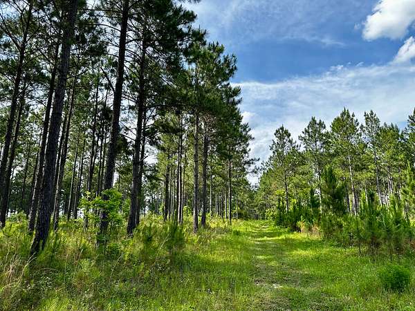 71.3 Acres of Recreational & Residential Land for Sale in McRae, Georgia