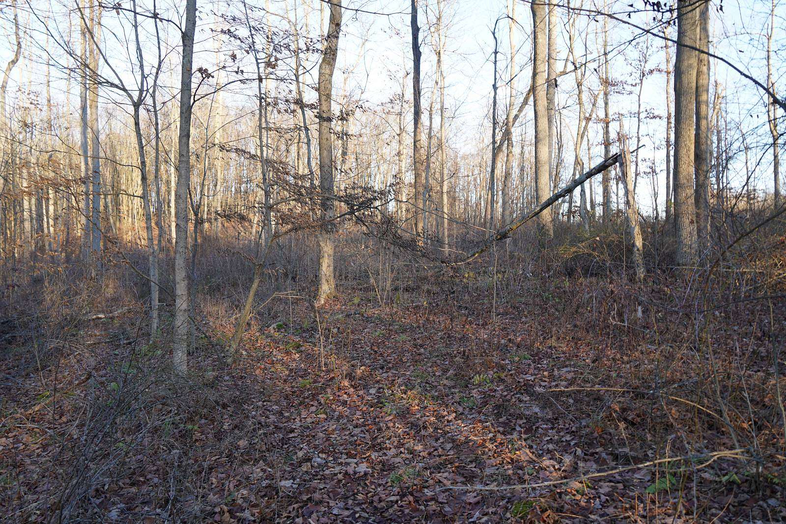 21.5 Acres of Recreational & Residential Land for Sale in Confluence, Pennsylvania