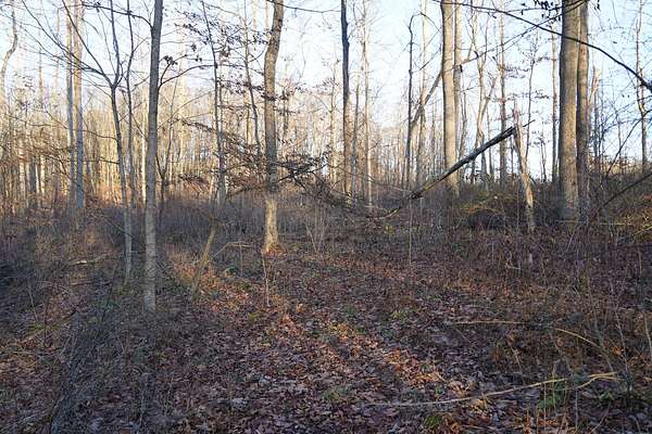 21.5 Acres of Recreational & Residential Land for Sale in Confluence, Pennsylvania