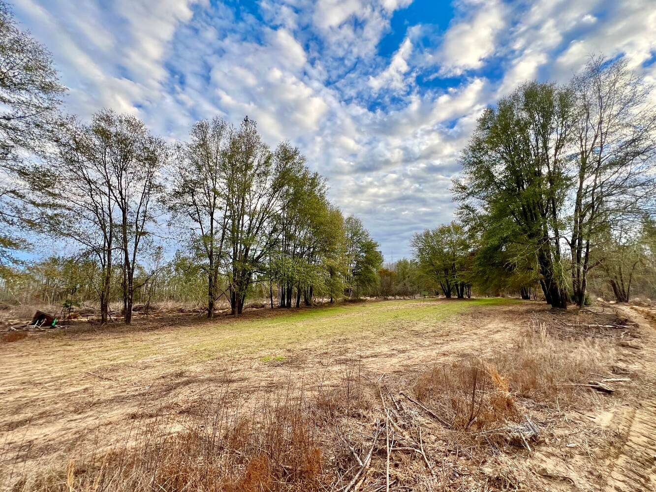 104 Acres of Recreational & Residential Land for Sale in Pine Hill, Alabama
