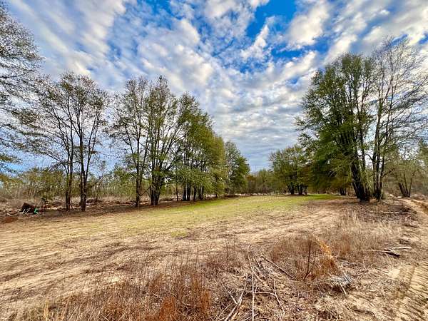 104 Acres of Recreational & Residential Land for Sale in Pine Hill, Alabama