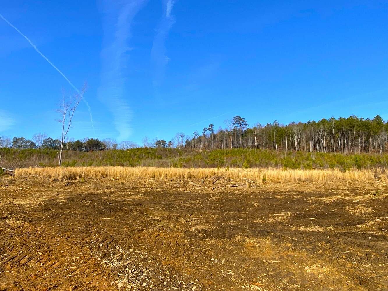 12.1 Acres of Land for Sale in Carbon Hill, Alabama
